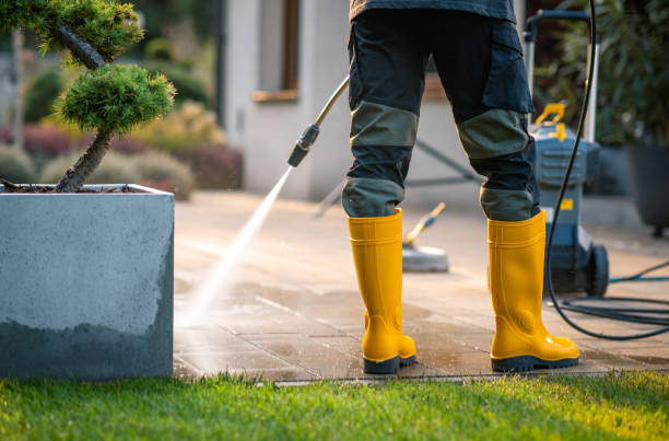 Best Deck Pressure Washing  in Lansing, IL